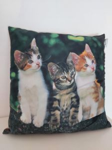Kussen met afbeelding 3 katten