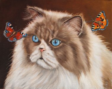 Perzische kat met vlinders