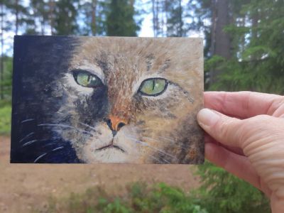 Katten portretje